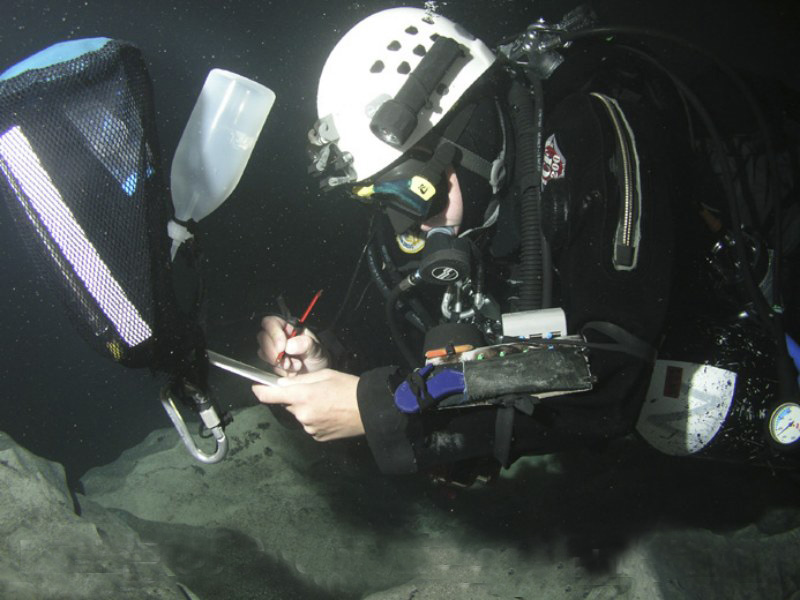 Biologische Unterwasserarbeiten