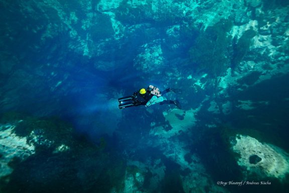 Taucher im Blautopf