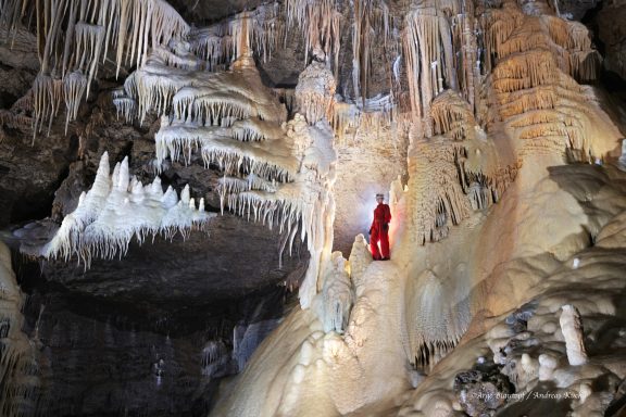 Im Reich der schönen Lau
